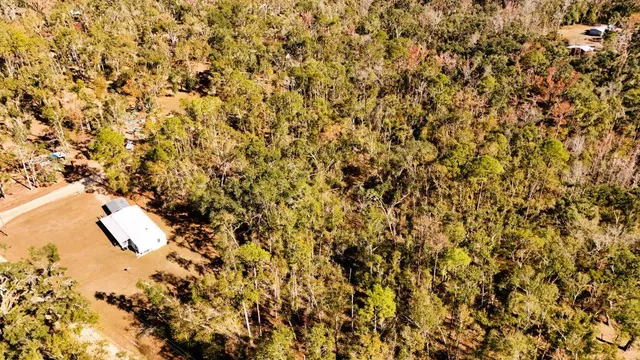 a close up of a plant