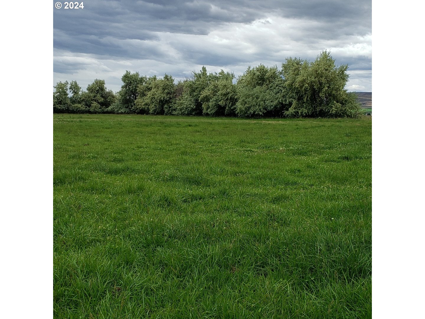 1841 Big Bend Road Adrian, OR 97901 - Photo 13 of 17 a view of a grassy field with trees in the background