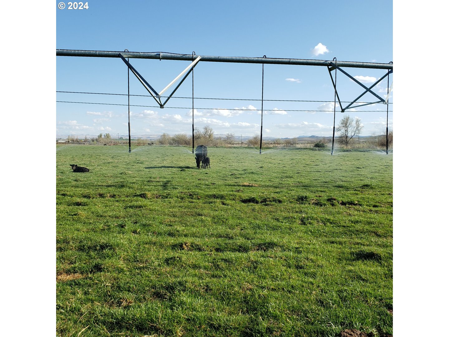 1841 Big Bend Road Adrian, OR 97901 - Photo 16 of 17 a view of a backyard