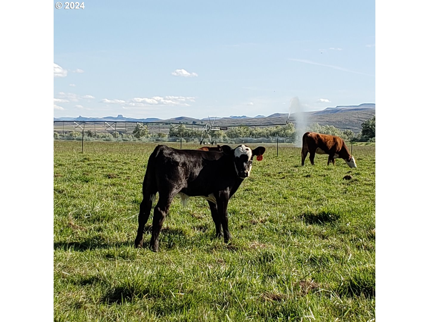 1841 Big Bend Road Adrian, OR 97901 - Photo 17 of 17 a picture of a lake view