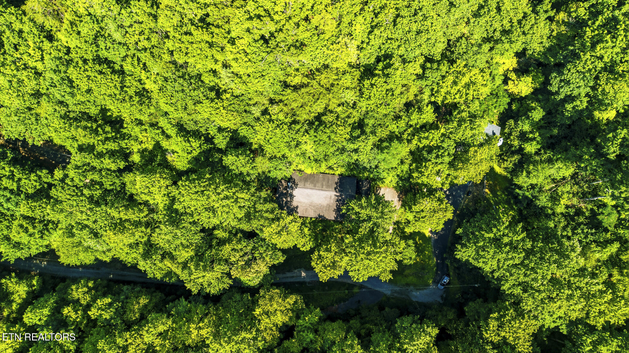 2685 South Clear Fork Road Sevierville, TN 37862 - Photo 51 of 55 dji_20260708164848_0391_d