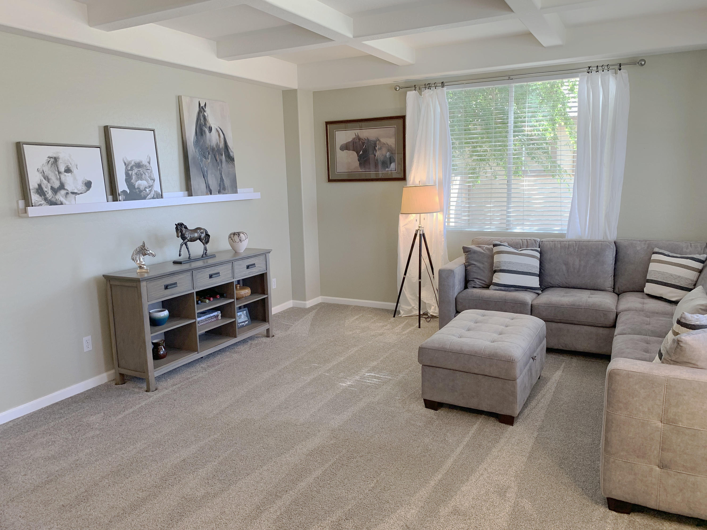 14960 West Wethersfield Road Surprise, AZ 85379 - Photo 2 of 7 IMG_5939