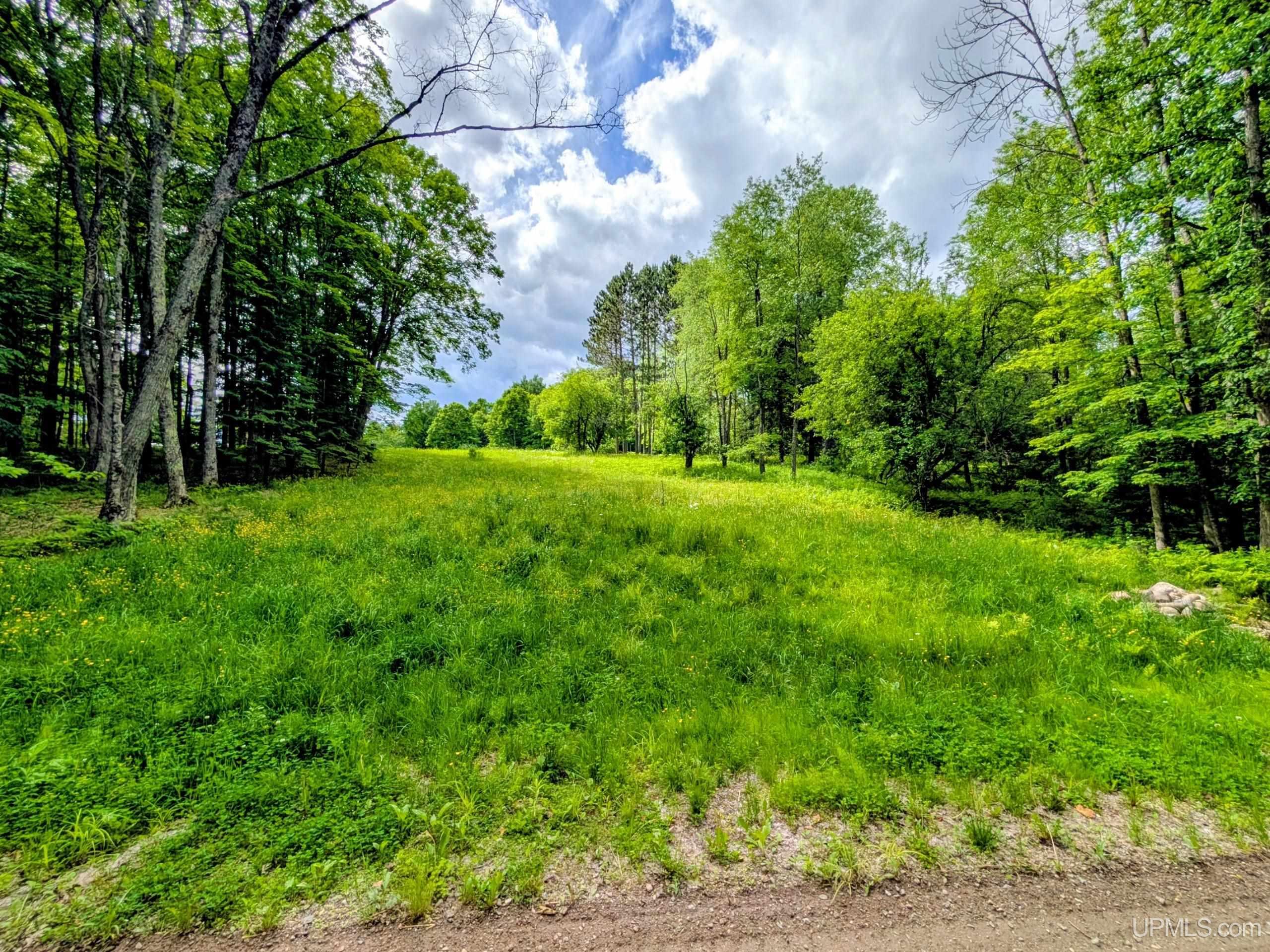 104 Forsberg Road Iron River, MI 49935 - Photo 25 of 34