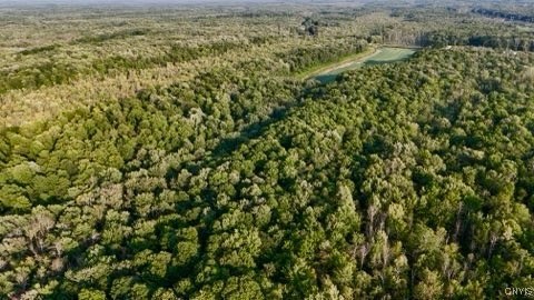 66 O'connor Road Scriba, NY 13126 - Photo 4 of 10