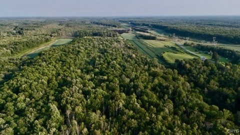 66 O'connor Road Scriba, NY 13126 - Photo 5 of 10