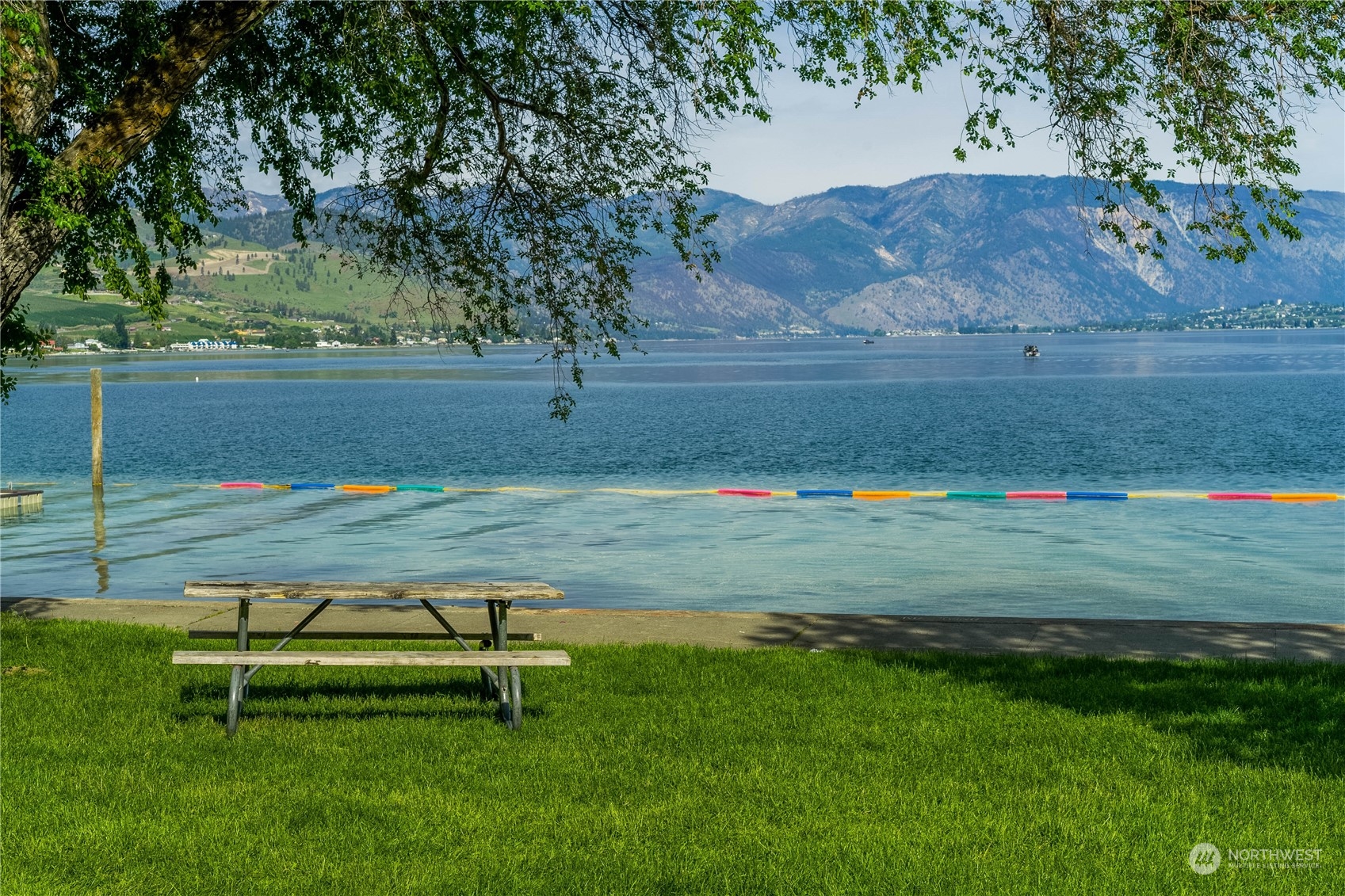 2216 West Prospect Street Chelan, WA 98816 - Photo 24 of 26 a view of a park with large trees