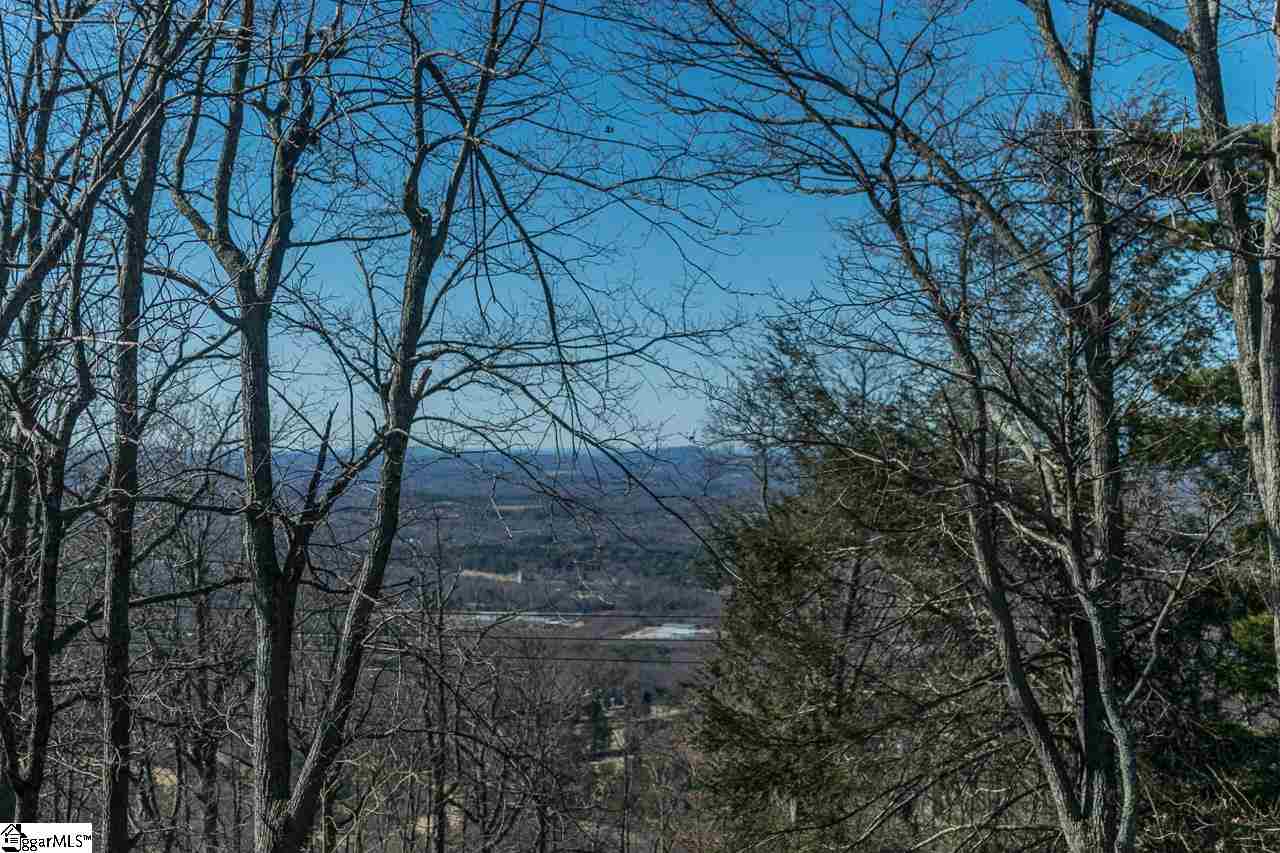 1130 Altamont Road Greenville, SC 29609 - Photo 32 of 36