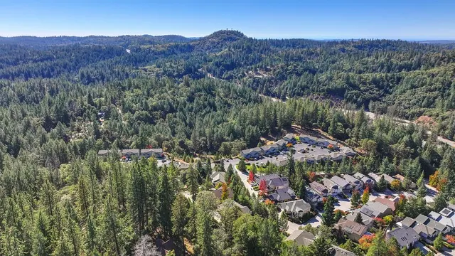 a view of a lush green field