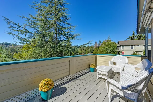 a view of a backyard with plants and garden