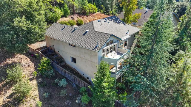 a view of a lush green field with a tree in the background