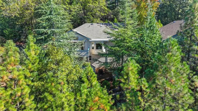 a view of a lush green forest with a building in the background
