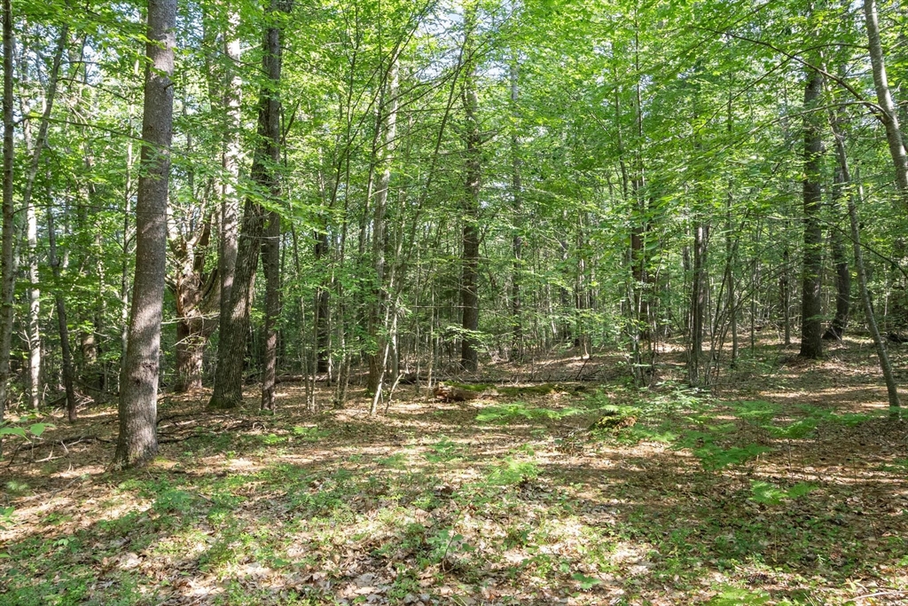 0 Ward Hill Road Phillipston, MA 01331 - Photo 5 of 9 Gallery Image 5