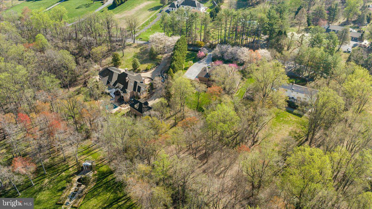 532 Walker Road Great Falls, VA 22066 - Photo 95 of 108 Serene estate nestled in lush greenery.