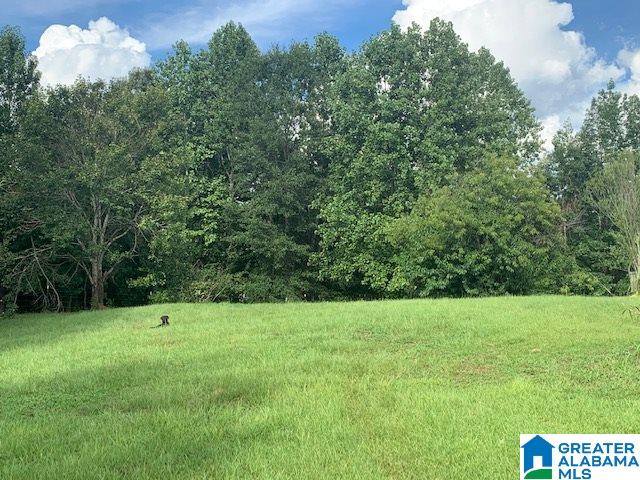427 Mitchell Young Farm Road West Blocton, AL 35184 - Photo 7 of 12