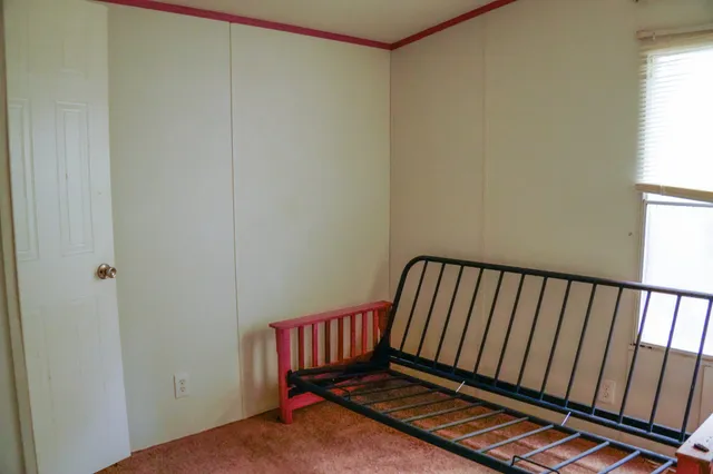 a view of a yard with plants and trees