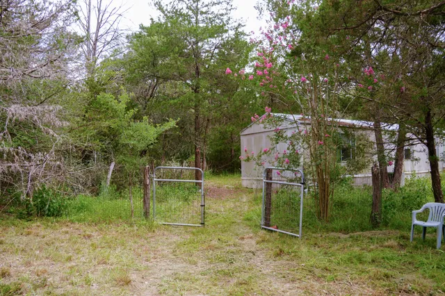a backyard of a house with plants and large trees