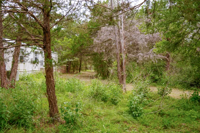 a backyard of a house with lots of green space