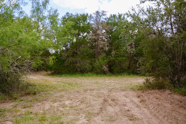 a view of a yard with a tree