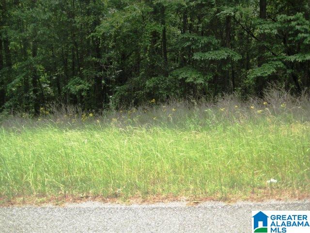 0 Sulphur Springs Road, Unit 10 ACRES Lincoln, AL 35096 - Photo 28 of 32