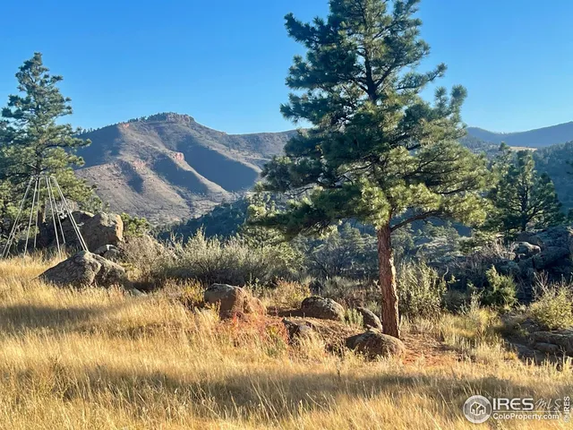 a view of lake and green space