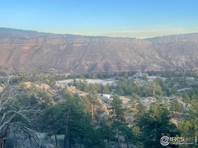 a view of a lake from a yard