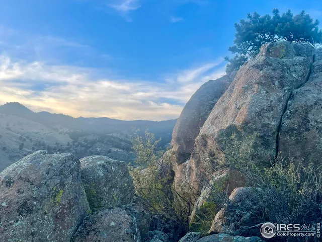 a view of a dry yard with trees