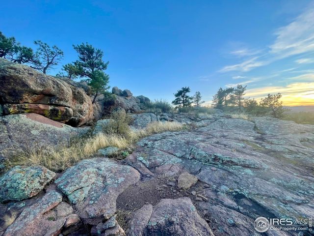 a view of a yard with an outdoor space
