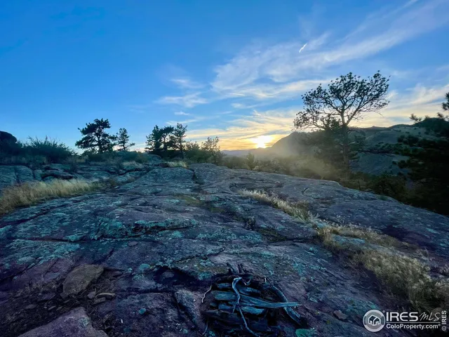 a view of a yard with wooden fence