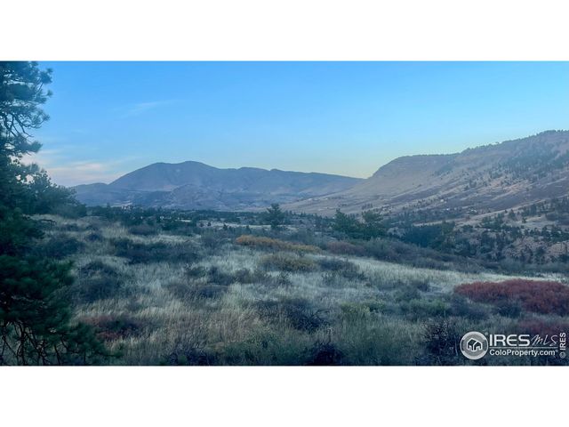 a black and white photo of a field