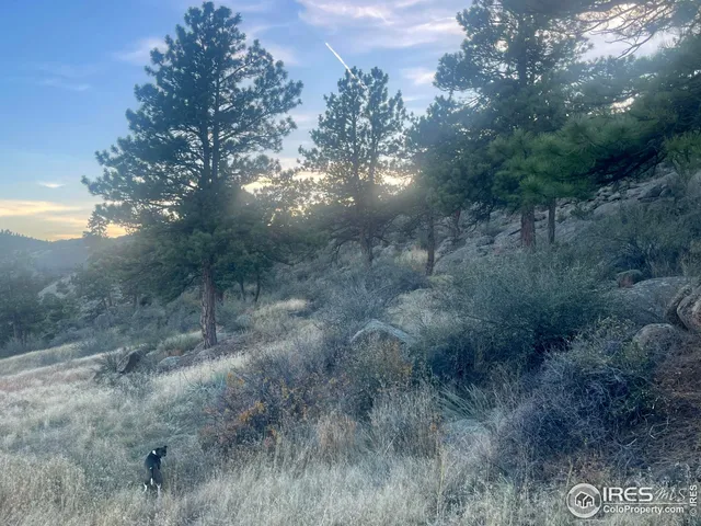 a view of a field of grass and trees