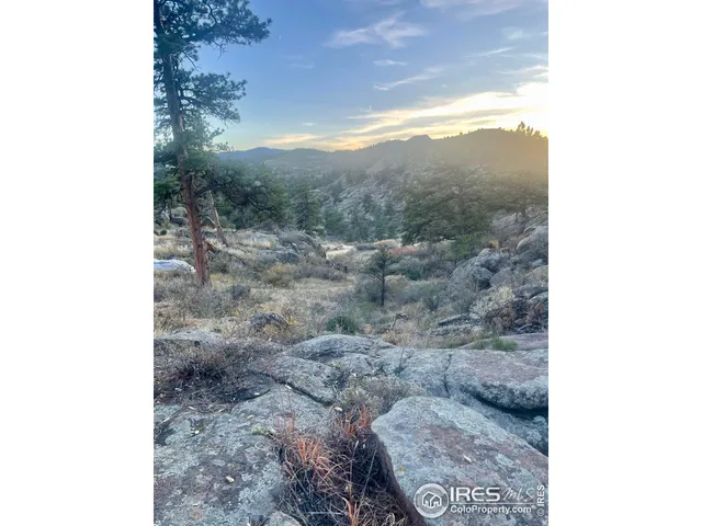 a black and white photo of a house