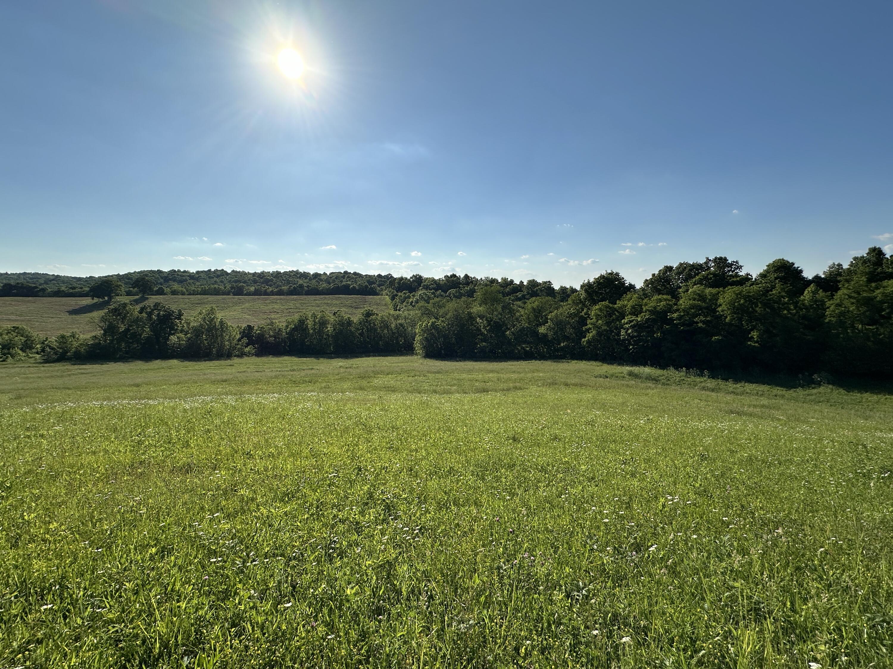 3 A Mint Ridge Carlisle, KY 40311 - Photo 3 of 7 2