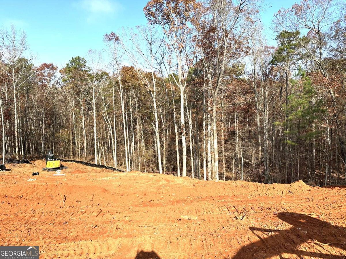 2012 Shoal Creek Way Bishop, GA 30621 - Photo 4 of 5 a view of a backyard of the house