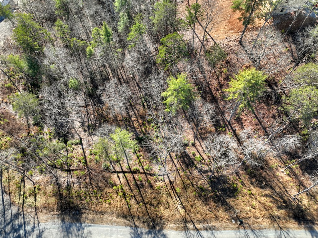 Lot 16 Mountain Laurel Ridge Mineral Bluff, GA 30559 - Photo 12 of 15
