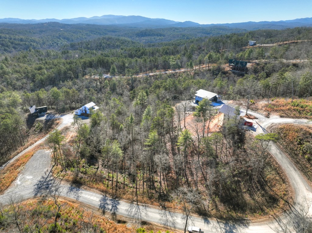 Lot 16 Mountain Laurel Ridge Mineral Bluff, GA 30559 - Photo 13 of 15 a view of a town with mountains in the background