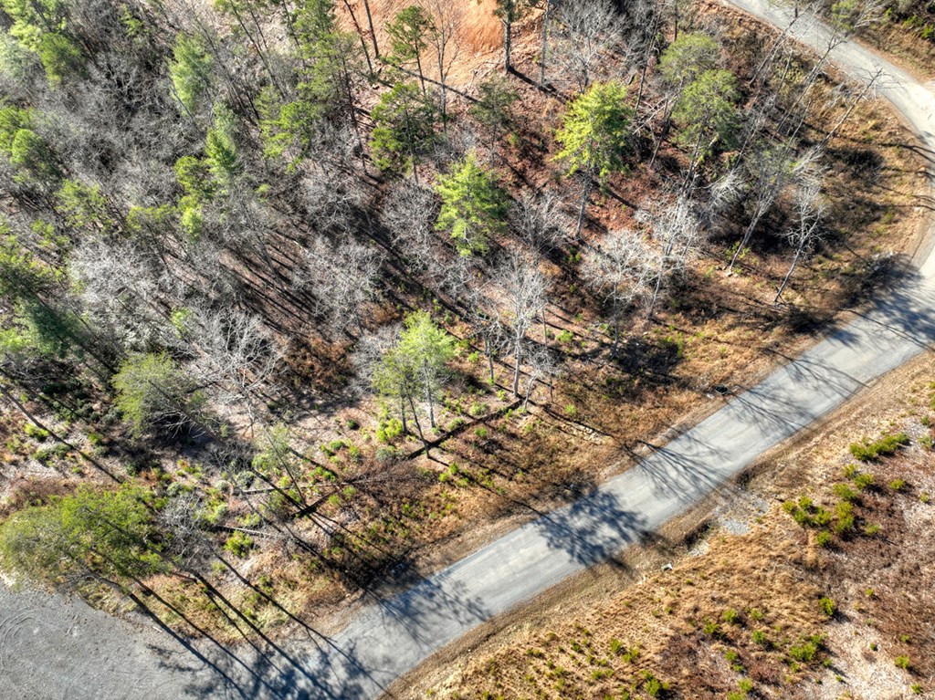 Lot 16 Mountain Laurel Ridge Mineral Bluff, GA 30559 - Photo 2 of 15 a view of a dry yard with green space