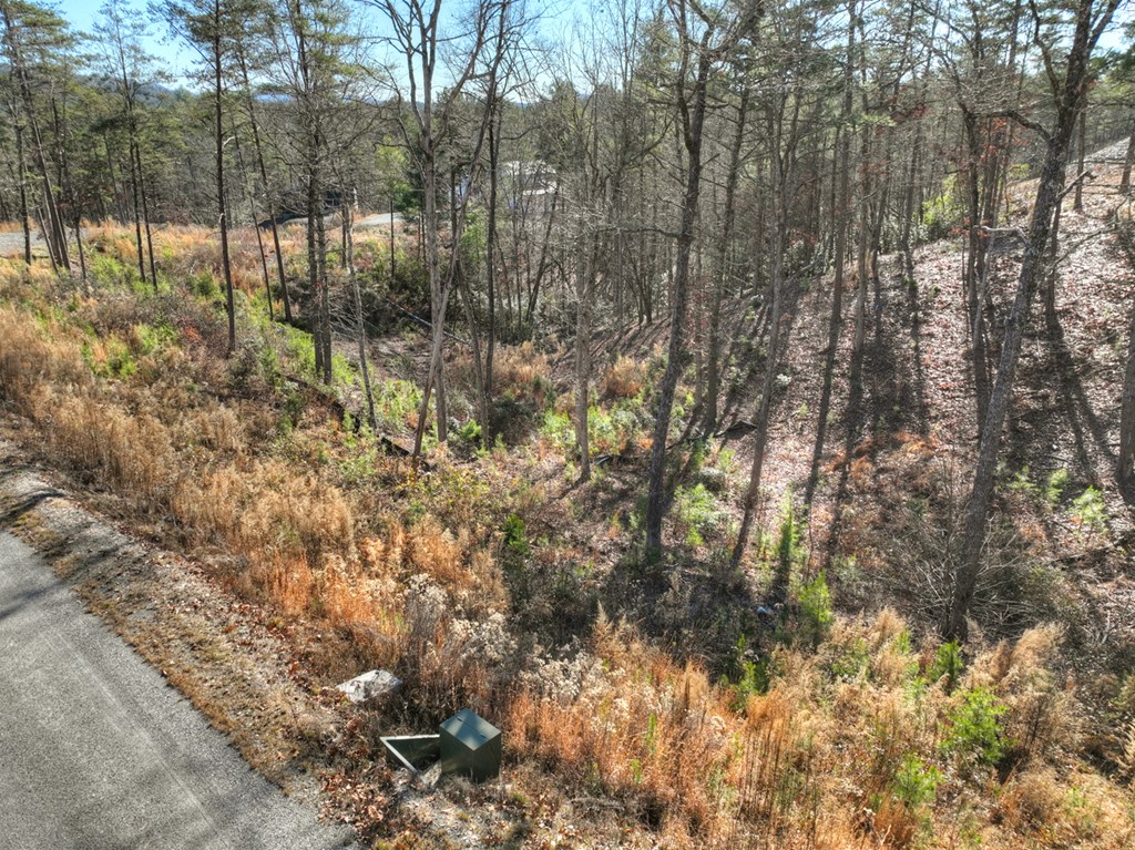 Lot 16 Mountain Laurel Ridge Mineral Bluff, GA 30559 - Photo 6 of 15 a view of forest