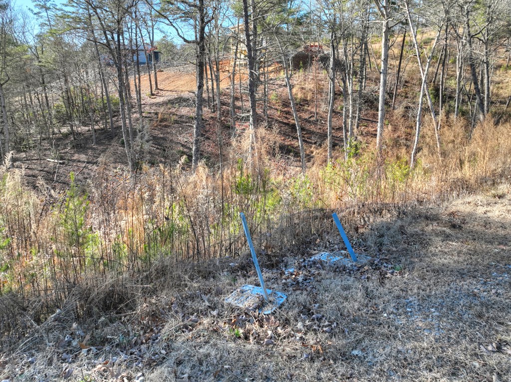 Lot 16 Mountain Laurel Ridge Mineral Bluff, GA 30559 - Photo 9 of 15 a backyard of a house with lots of green space