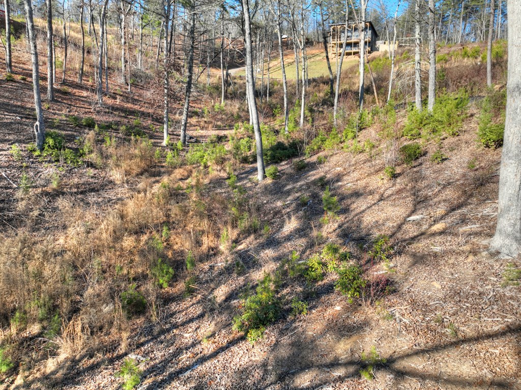Lot 16 Mountain Laurel Ridge Mineral Bluff, GA 30559 - Photo 10 of 15 a backyard of a building with trees