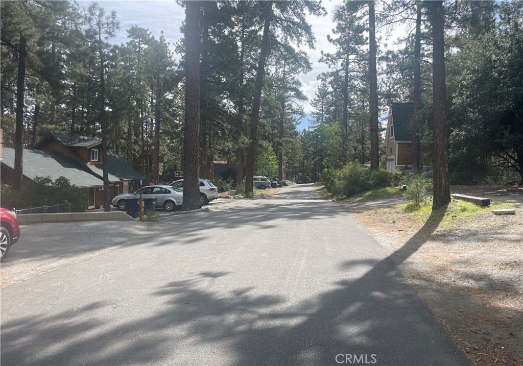 1057 Eagle Road Wrightwood, CA 92397 - Photo 10 of 10 a view of outdoor space with garden view