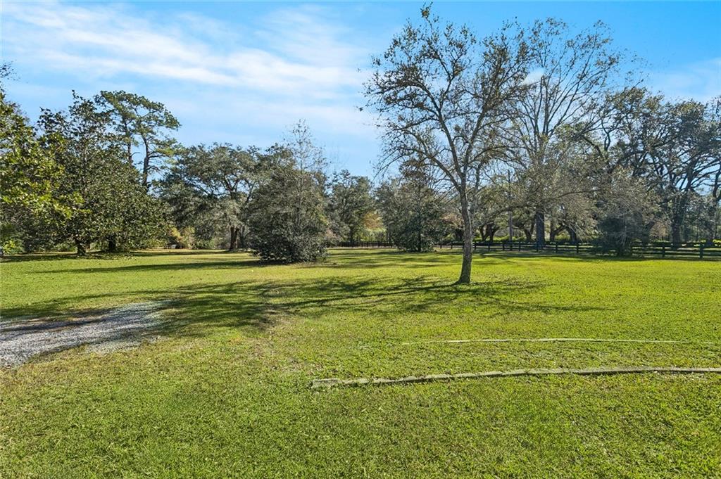 80327 North Willie Road Folsom, LA 70437 - Photo 15 of 19