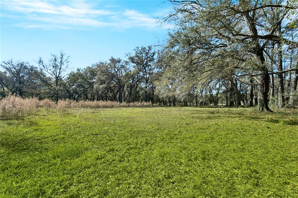 80327 North Willie Road Folsom, LA 70437 - Photo 16 of 19