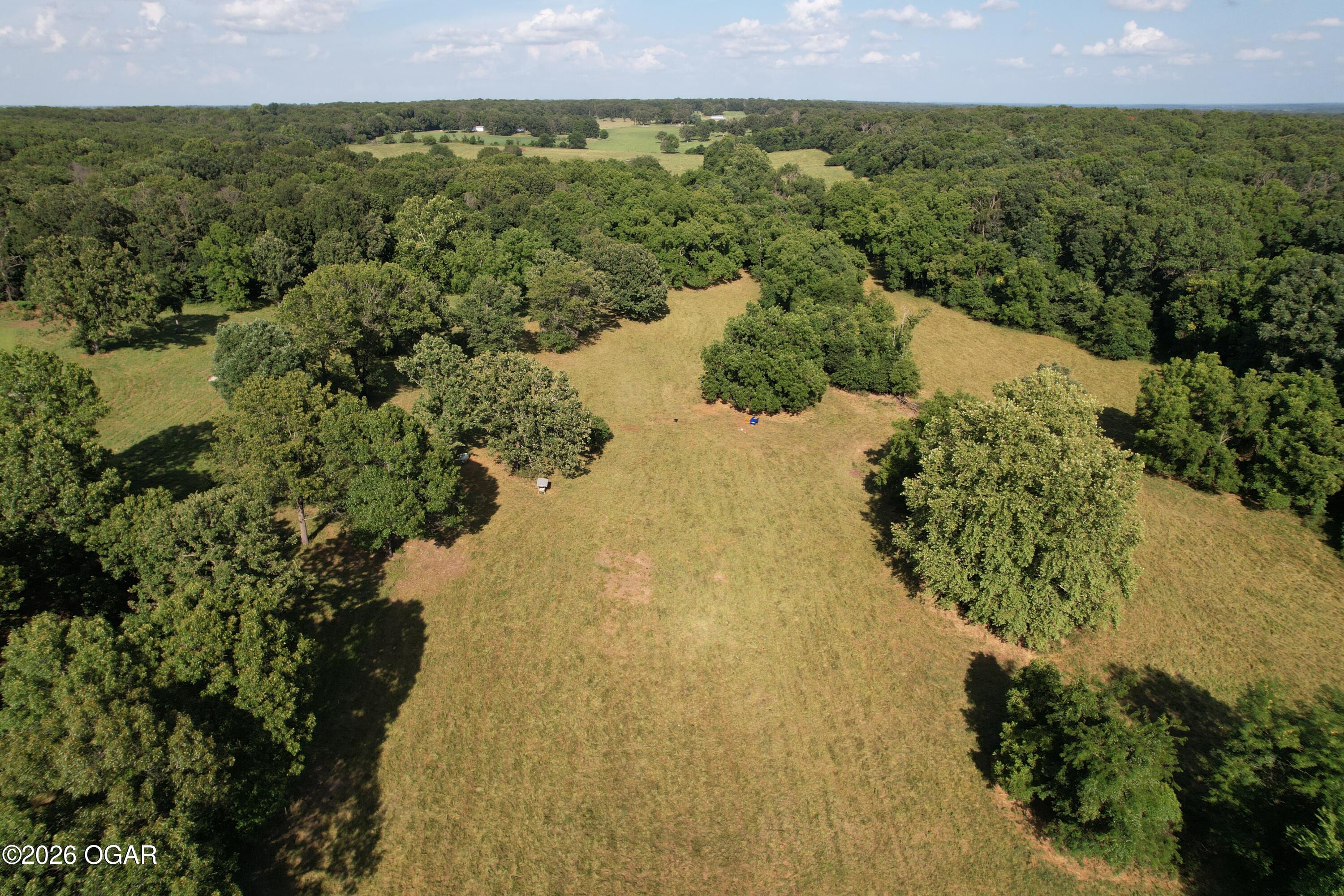 6731 Raccoon Road Pierce City, MO 65723 - Photo 6 of 103 Gallery Image 6