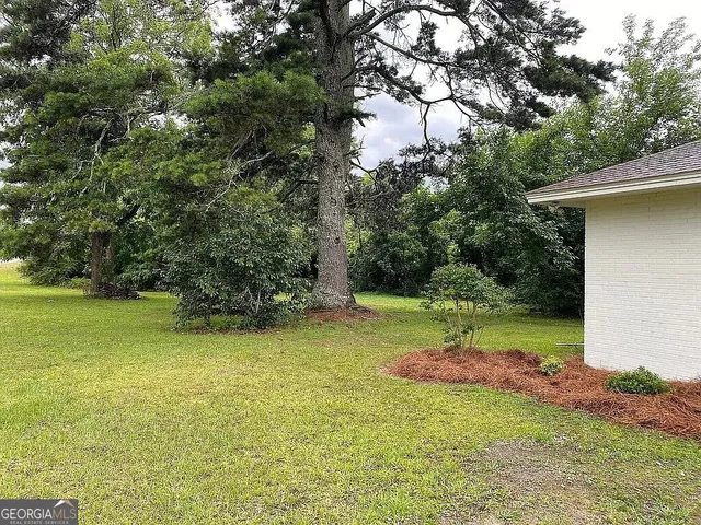 a view of a yard with a tree