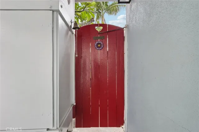 a view of a potted plants in a backyard
