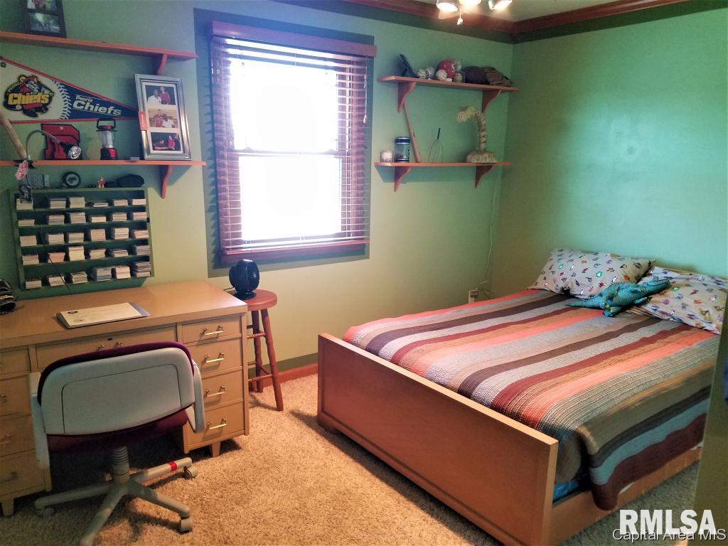 3986 Rochester Road Springfield, IL 62712 - Photo 25 of 36