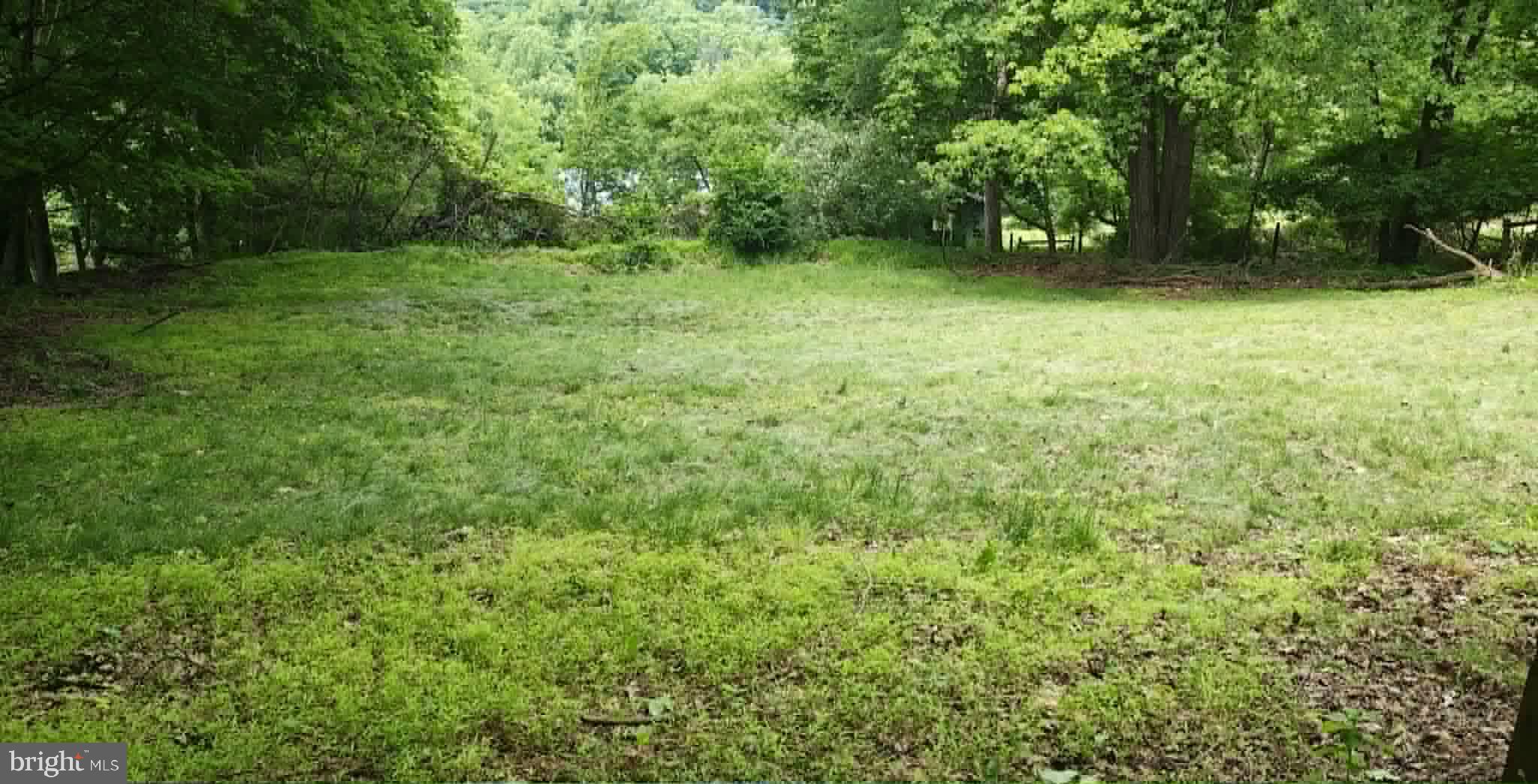 439 Trevorton Road Trevorton, PA 17881 - Photo 79 of 79 Serene green space awaits your vision.