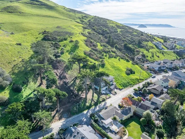 a view of a garden with an ocean