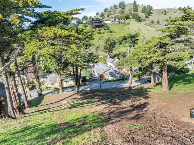 a view of a lush green hillside and an ocean