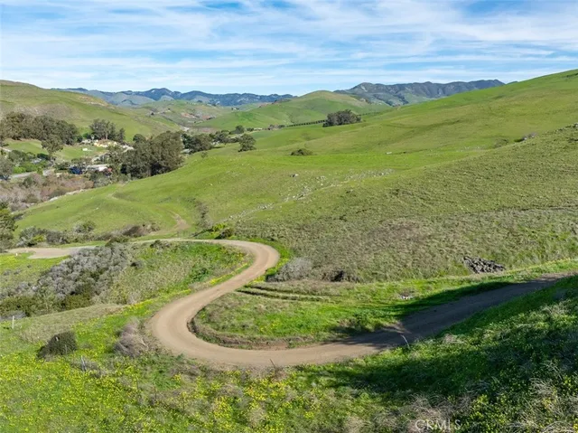 a view of a yard with plants and trees